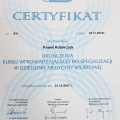 Powiększ obraz: certificate 7