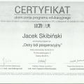 Powiększ obraz: certificate 3