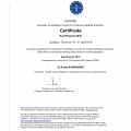 Powiększ obraz: certificate 9
