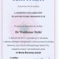Powiększ obraz: certificate 1
