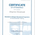 Powiększ obraz: certificate 29