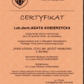 Powiększ obraz: certificate 8