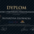 Powiększ obraz: certificate 1