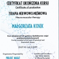 Powiększ obraz: certificate 6