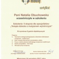 Powiększ obraz: certificate 2