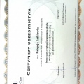 Powiększ obraz: certificate 14