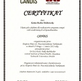 Powiększ obraz: certificate 3