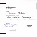 Powiększ obraz: certificate 10