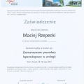Powiększ obraz: certificate 6