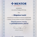Powiększ obraz: certificate 2