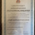 Powiększ obraz: certificate 1
