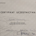 Powiększ obraz: certificate 9