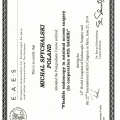 Powiększ obraz: certificate 9