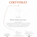 Powiększ obraz: certificate 9
