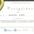 Powiększ obraz: certificate 2