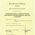 Powiększ obraz: certificate 16