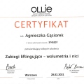Powiększ obraz: certificate 9