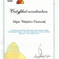 Powiększ obraz: certificate 9