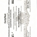 Powiększ obraz: certificate 3