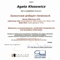 Powiększ obraz: certificate 20