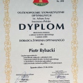 Powiększ obraz: certificate 20