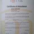 Powiększ obraz: certificate 7