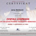 Powiększ obraz: certificate 71