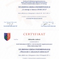Powiększ obraz: certificate 7