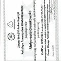 Powiększ obraz: certificate 3