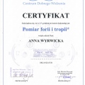 Powiększ obraz: certificate 8
