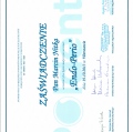 Powiększ obraz: certificate 10