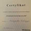 Powiększ obraz: certificate 8