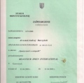 Powiększ obraz: certificate 22