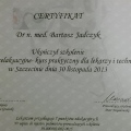 Powiększ obraz: certificate 11