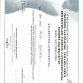 Powiększ obraz: certificate 5