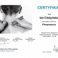 Powiększ obraz: certificate 8