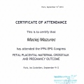 Powiększ obraz: certificate 4
