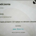 Powiększ obraz: certificate 16