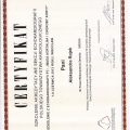 Powiększ obraz: certificate 11