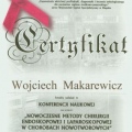 Powiększ obraz: certificate 5