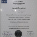 Powiększ obraz: certificate 13