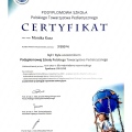 Powiększ obraz: certificate 3