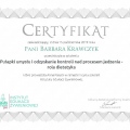 Powiększ obraz: certificate 8