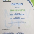 Powiększ obraz: certificate 3