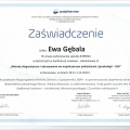 Powiększ obraz: certificate 40