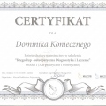 Powiększ obraz: certificate 1