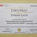 Powiększ obraz: certificate 13