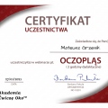Powiększ obraz: certificate 81
