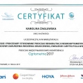 Powiększ obraz: certificate 11