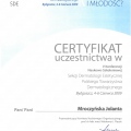 Powiększ obraz: certificate 16